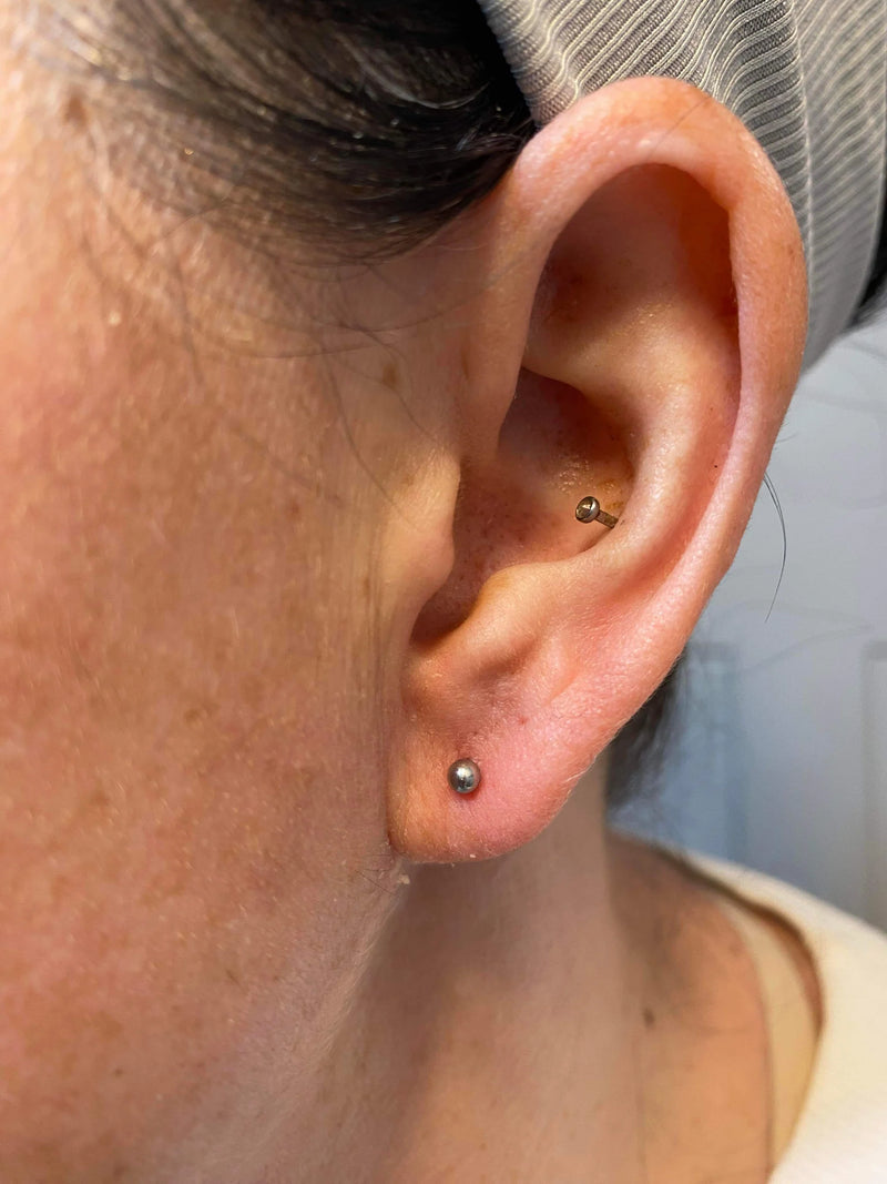 The Piercing Parlor Earrings