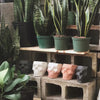 Victor Geometric Concrete Skull Planter in Black