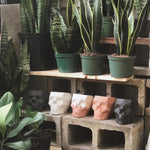 Victor Geometric Concrete Skull Planter in Black