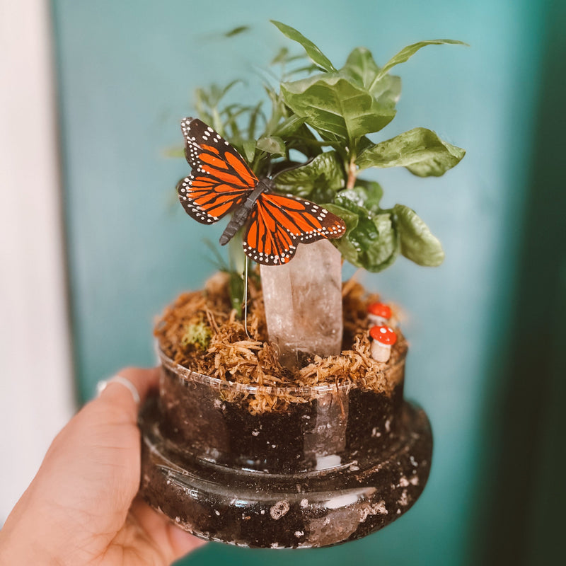 Medium Glass Butterfly Terrarium