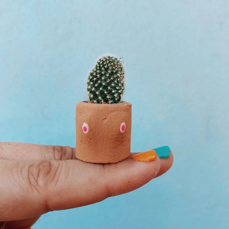 Cactits Mini Planter