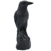 Perched Raven Candle Pillar