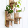 Rattan Propagation Planters