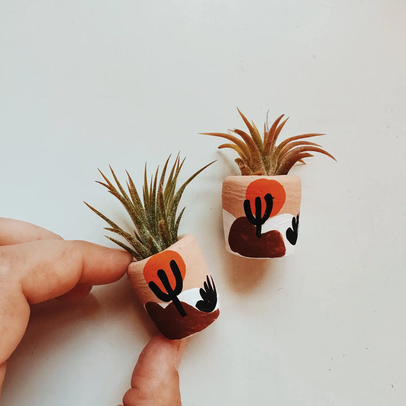 Joshua Tree Mini Planter