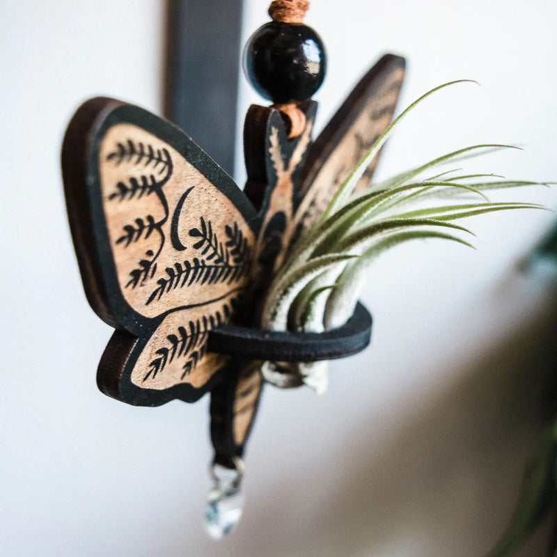 Death's Head Moth Airplant Holder Hanging Suncatcher