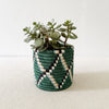 Storage Plant Basket Kasuga