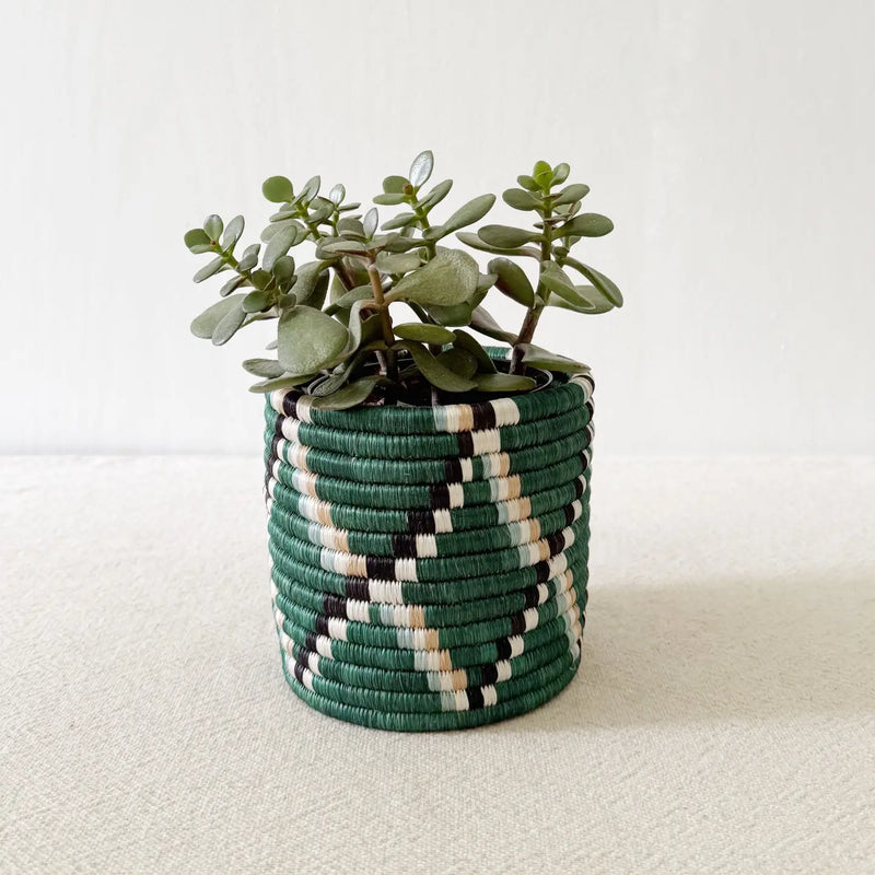 Storage Plant Basket Kasuga