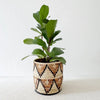Storage Plant Basket: Busisi