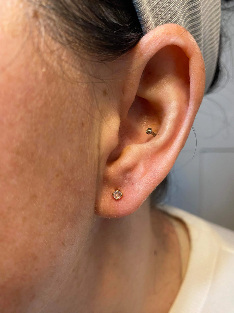 The Piercing Parlor Earrings