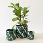 Storage Plant Basket Kasuga