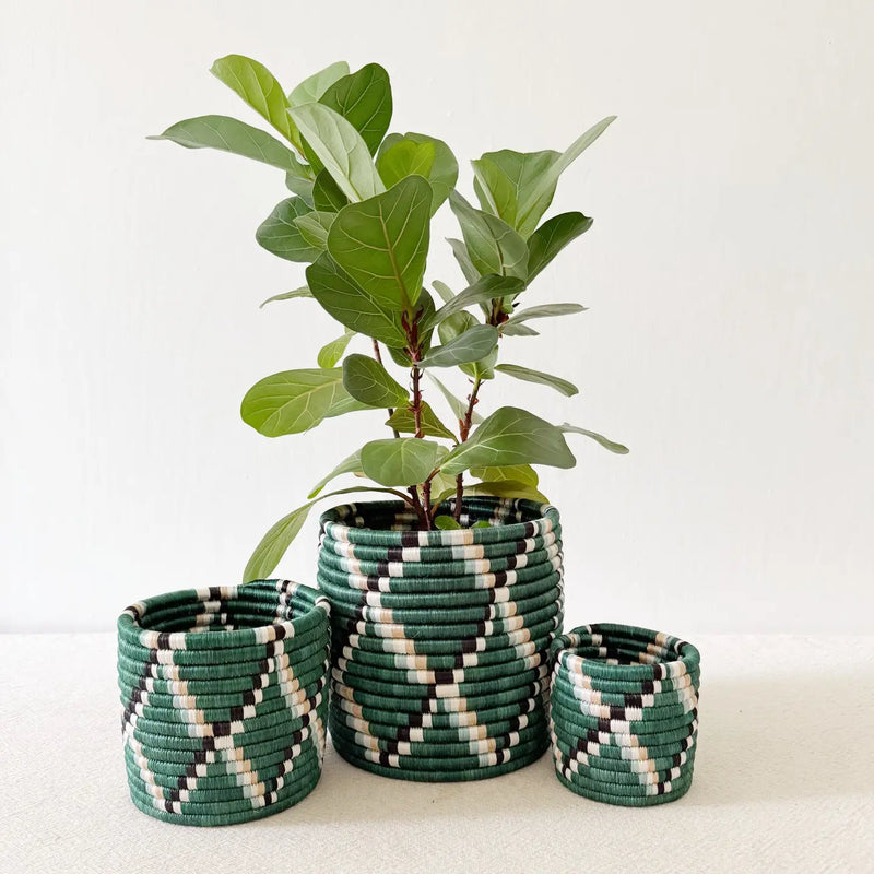 Storage Plant Basket Kasuga