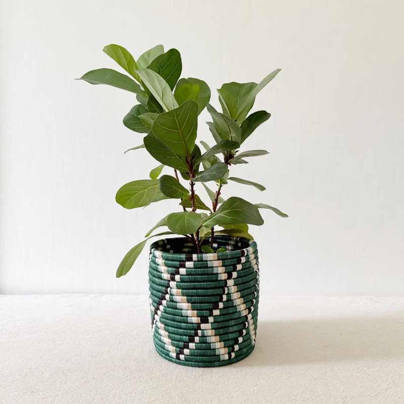 Storage Plant Basket Kasuga