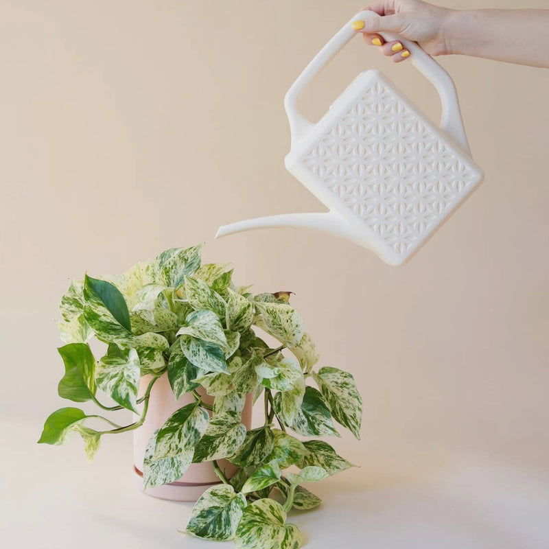 Breeze Block Watering Can in Ivory