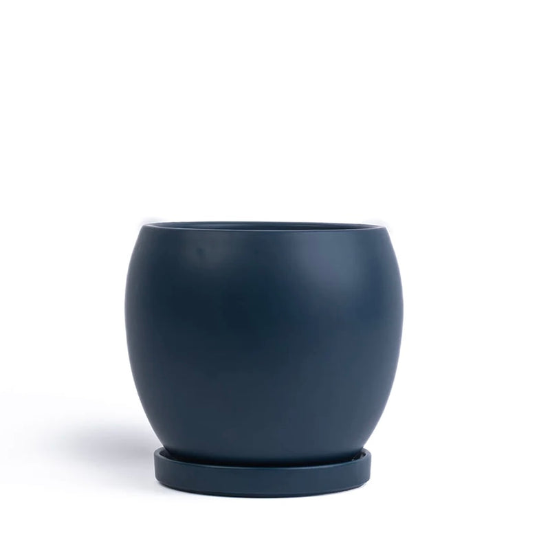 Bollé Pot with Water Saucer in Midnight