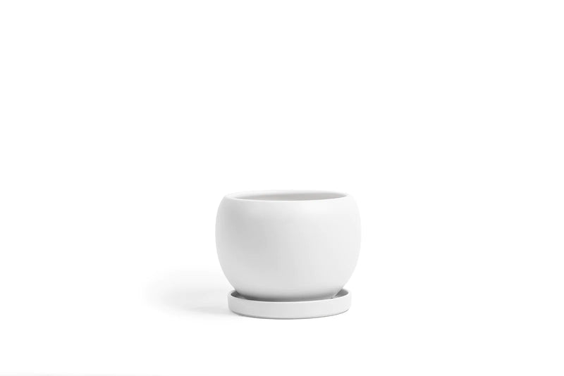Bollé Pots with Water Saucer in White