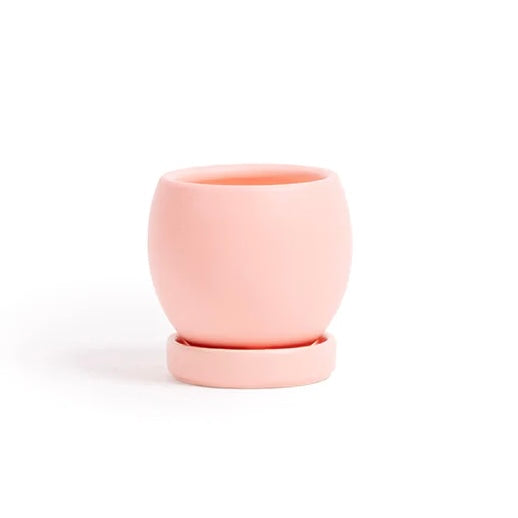 Bollé Pots with Water Saucer in Bubblegum