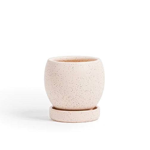 Bollé Pots with Water Saucer in White Sesame
