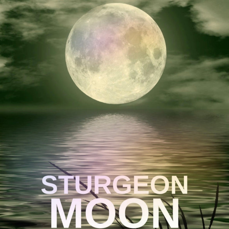Sturgeon Full Moon Gallery Reading 8/8