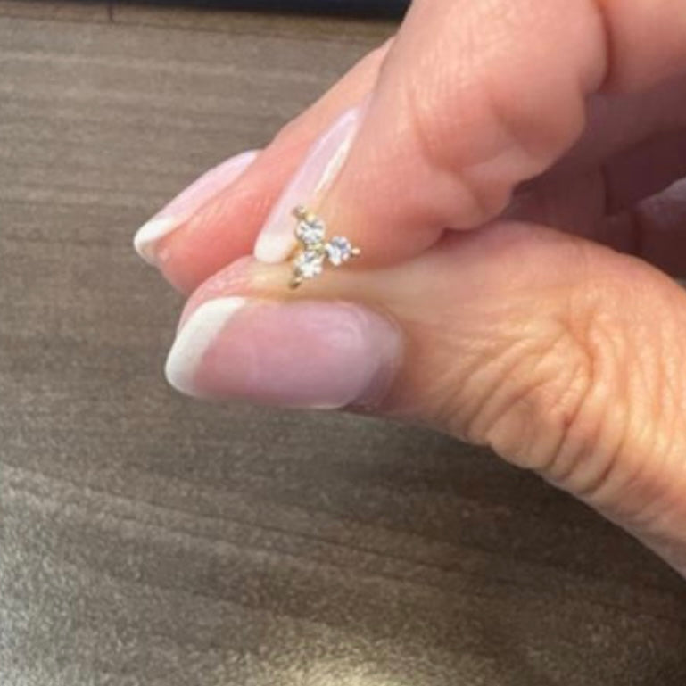 The Piercing Parlor Earrings