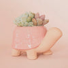 Turtle Planter in Pink