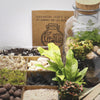 Terrarium Workshop 9/12