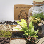 Terrarium Workshop 9/12