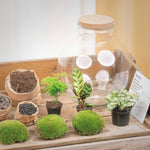 Terrarium Workshop 9/12