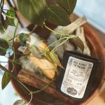 Sage Against the Machine /Coconut Candle