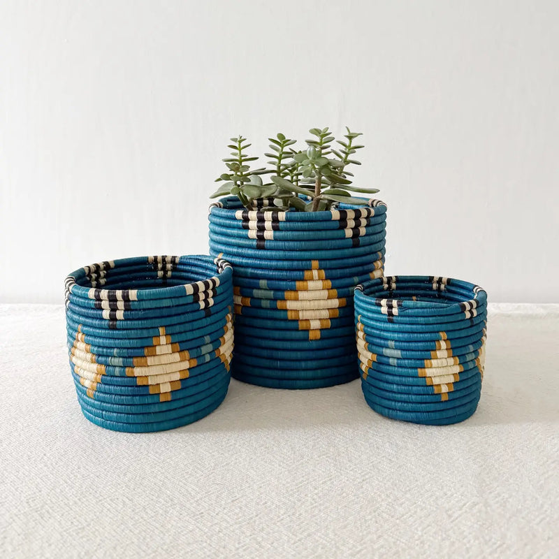 Storage Plant Basket: Shungo