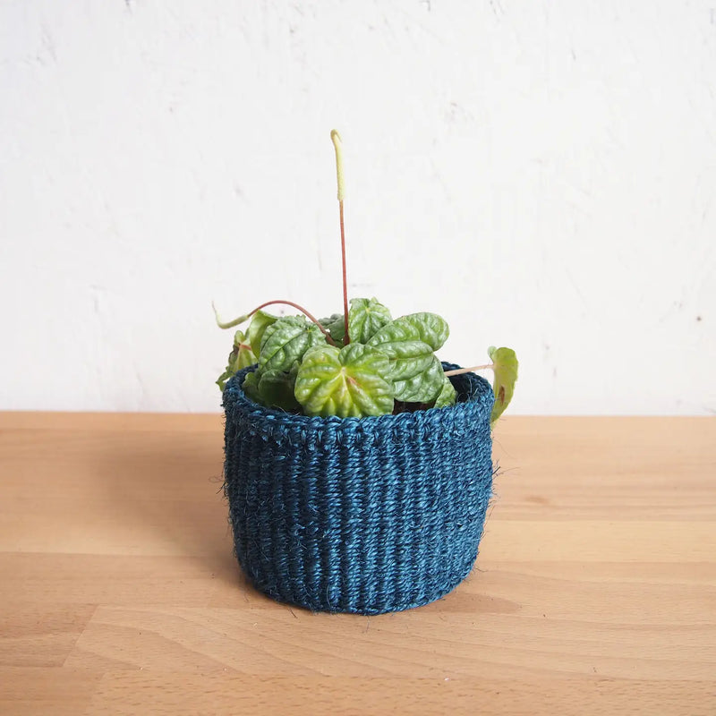 Storage Plant Basket: Ocean