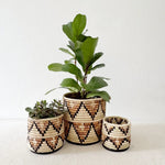 Storage Plant Basket: Busisi
