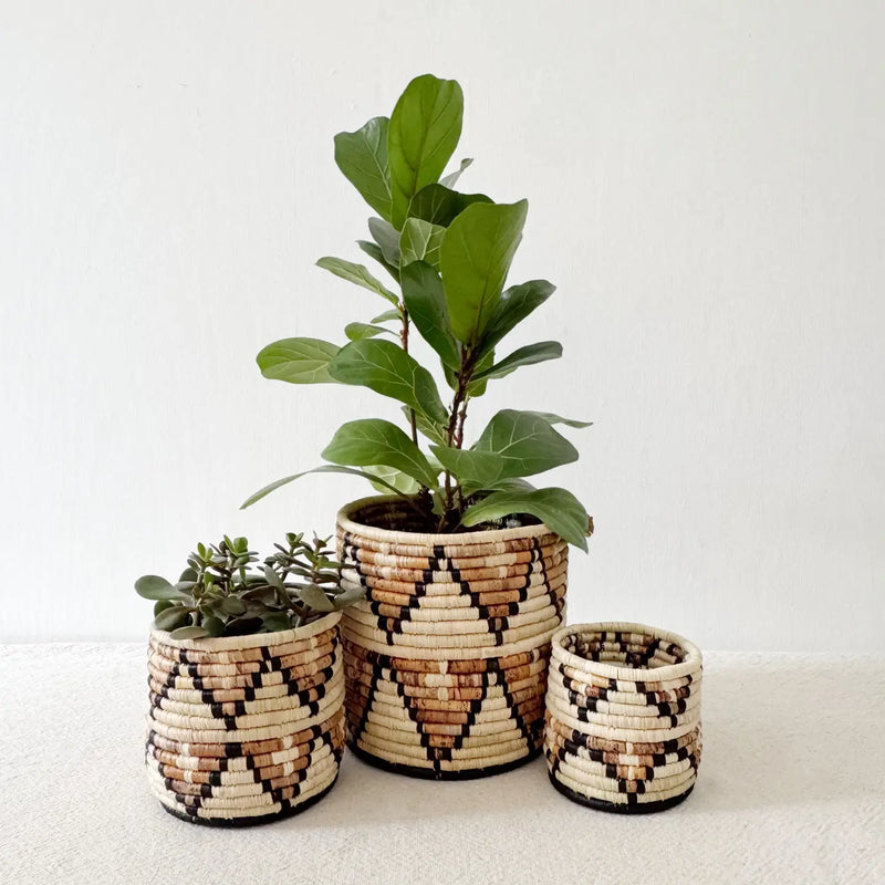 Storage Plant Basket: Busisi