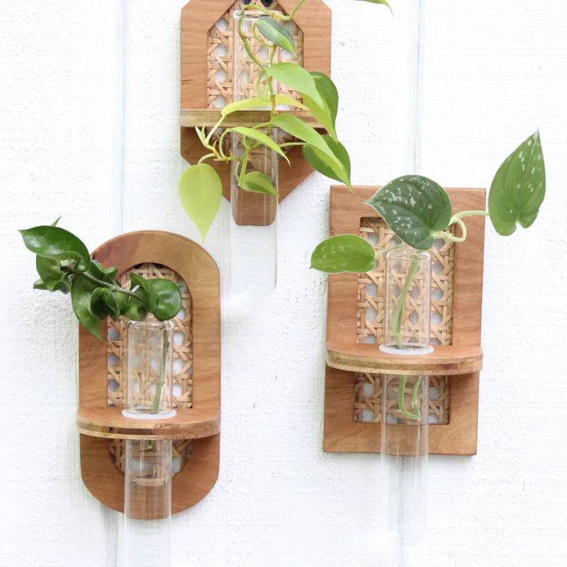 Rattan Propagation Planters