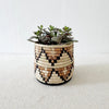 Storage Plant Basket: Busisi
