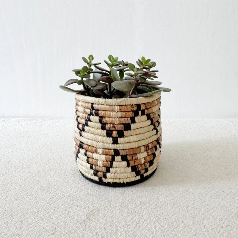 Storage Plant Basket: Busisi