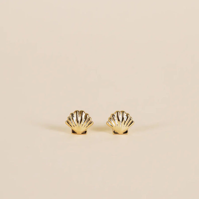 Seashell Earring