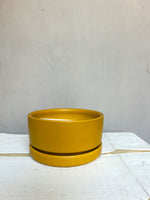 Low Bowl in Mustard