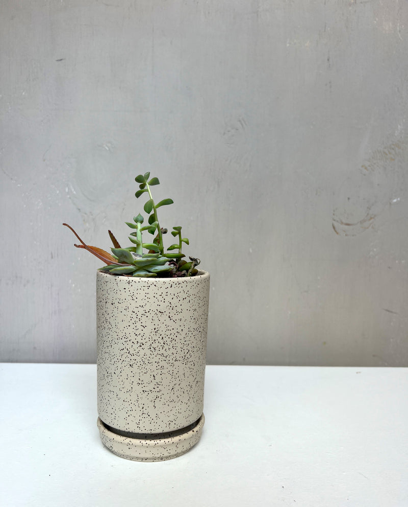 Plant Junkie Tall Cylinder in White Sesame