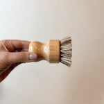Casa Agave Pot scrubber