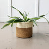 Storage Basket in Coconut