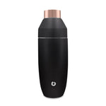 Stainless Steel Cocktail Shaker