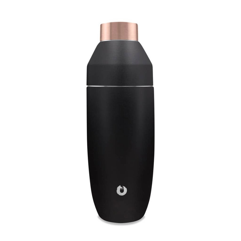 Stainless Steel Cocktail Shaker