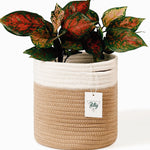 Brown and White Cotton Rope Plant Basket