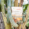 5 qt Dunes Cactus & Succulent Potting mix - Peat Free