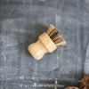 Palm Pot Scrubber