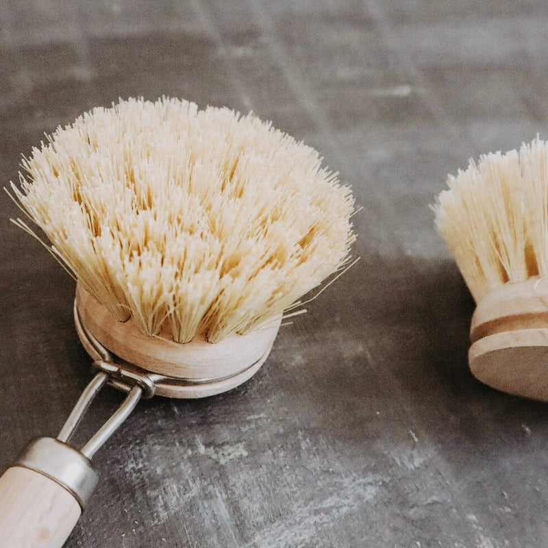 Sisal Dish Brush ( Brush Only )