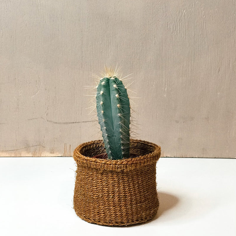 Basket in Ochre