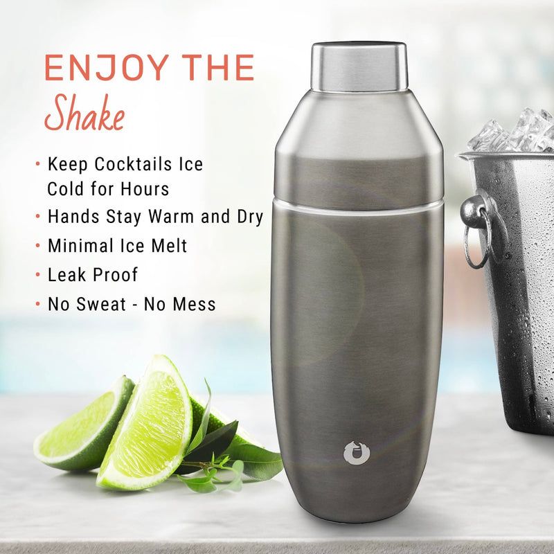 Stainless Steel Cocktail Shaker