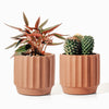 Fluted Cement Planters