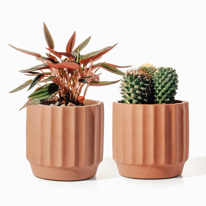 Fluted Cement Planters